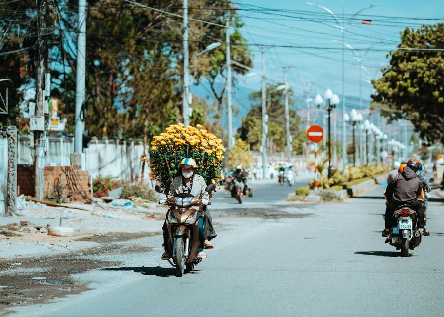 A person riding a motorcycle on Seven Sisters Road, carrying a large bouquet of yellow chrysanthemums secured to the back of the bike. The rider wears a helmet, face mask, and casual clothing. In the 